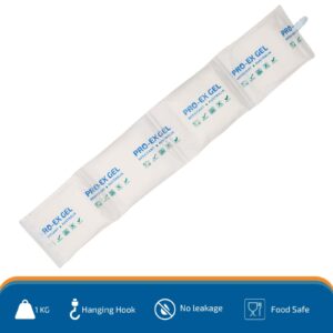 Pro-Ex Gel 1kg Container Shipping Desiccant